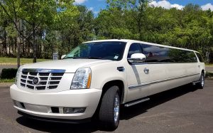 2012-20-Passenger-Cadillac-Escalade-Limo-sunshinelimoservice.com_